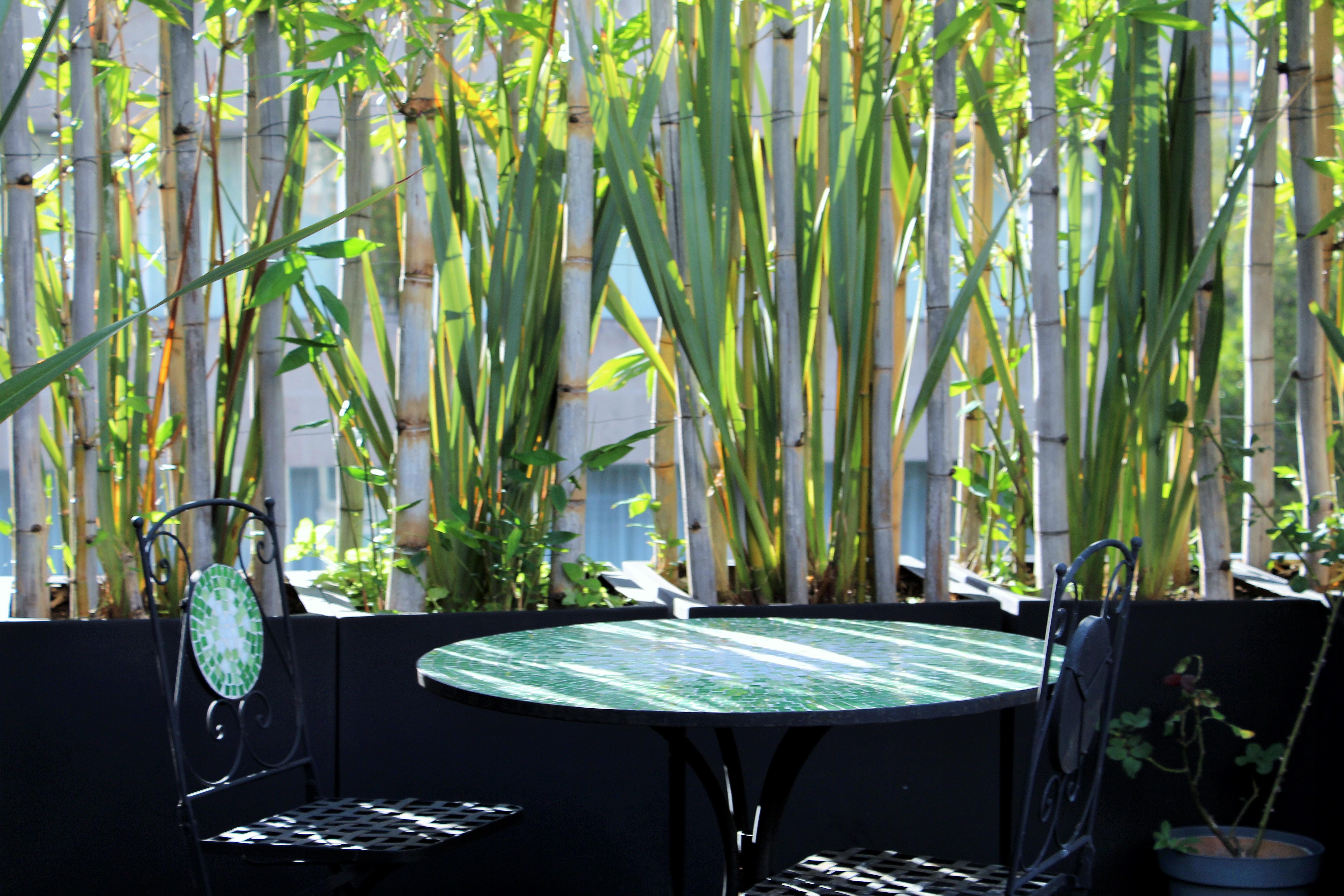 Residence L' Heritage Hipolito Taine By Bluebay Mexico-stad Buitenkant foto